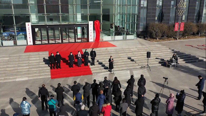 媒介投放案例：揭秘内容营销背后的策略与技巧