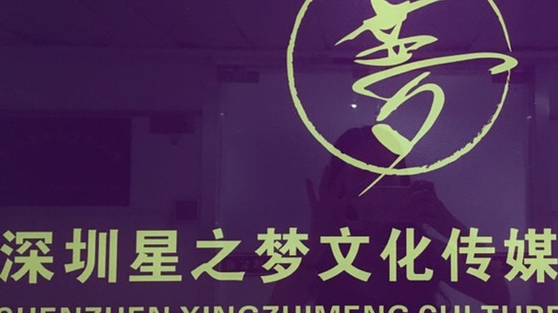 企业VI定制流程步骤详解：打造品牌形象的关键步骤