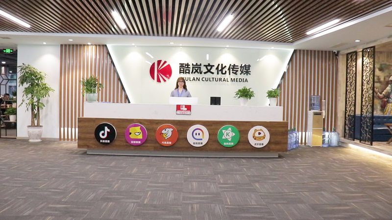 企业宣传片与纪录片：两种传播方式的本质区别**
